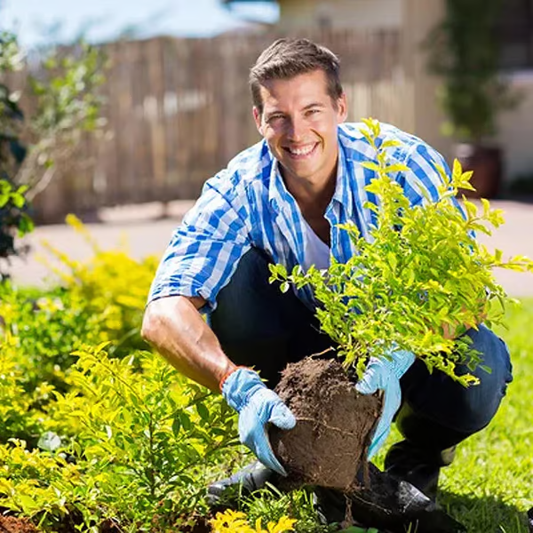 🌿💪 ECOCERT-zertifizierter Bodenaktivator – Stärkt Ihren Boden. fördert üppiges Wachstum mühelos! 🌼✅