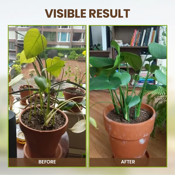 🌿💪 ECOCERT-zertifizierter Bodenaktivator – Stärkt Ihren Boden. fördert üppiges Wachstum mühelos! 🌼✅