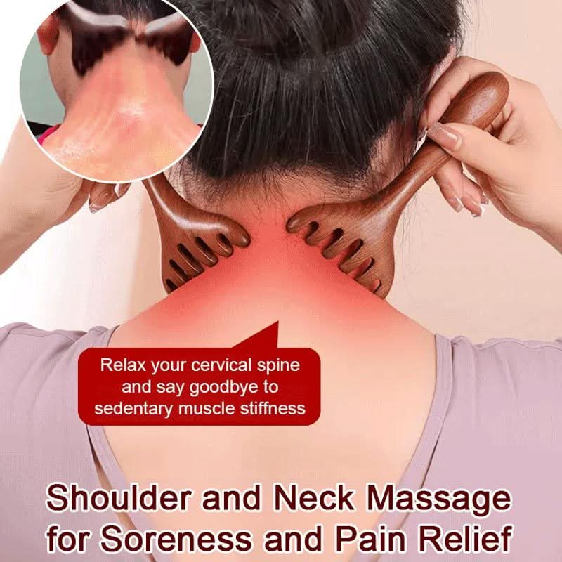 Zes-klauw Meridiaan Massage Kam