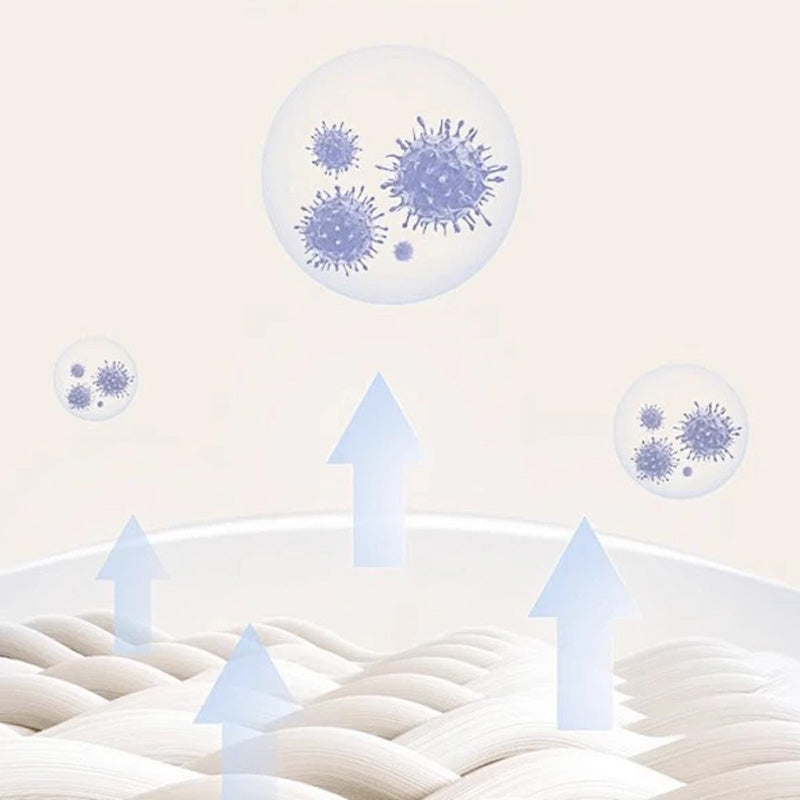🌿🛡️ Veilig Sterk Plantenextract Deodorantzakje – 365dagen Bescherming. Kleding Beschermt (Anti-schimmel) & Natuurlijk Veilig!