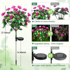 Simulatie Azalea Bloem Grondsteek Zonneverlichting