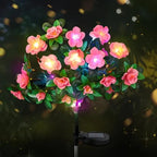 Simulatie Azalea Bloem Grondsteek Zonneverlichting