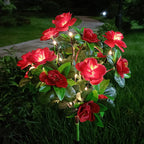 Simulatie Azalea Bloem Grondsteek Zonneverlichting