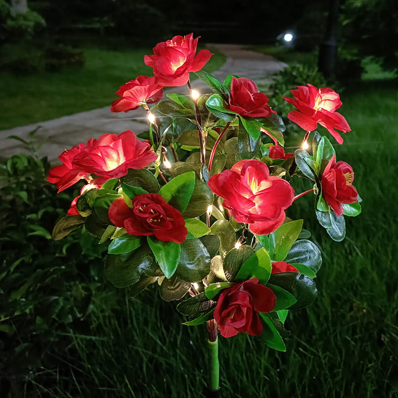 Simulatie Azalea Bloem Grondsteek Zonneverlichting